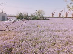 -幕燕滨江·长江观音景区