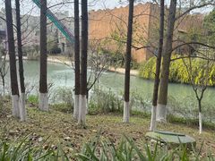 -成都欢乐谷
