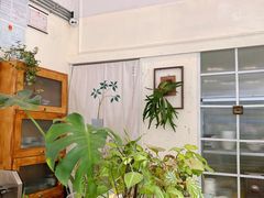 -绿小院(荔湾店)