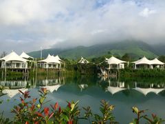 picture-帐篷客·溪龙茶谷度假酒店