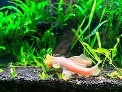 -上海海洋水族馆