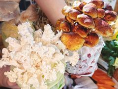 -烹然四季椰子鸡火锅(团结湖总店)