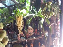 IMG_20141112_141203-自然餐厅(Phuket)