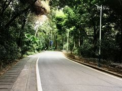 -火炉山森林公园