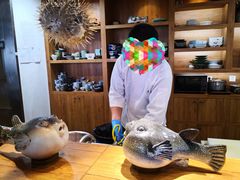 -天正河鲀·河豚亭(大连店)