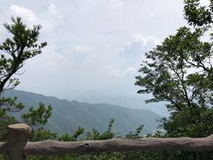 -王顺山国家森林公园