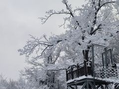 -中旅松花湖滑雪场