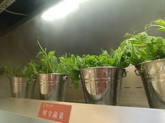 -钢管厂五区小郡肝火锅串串香(总店)