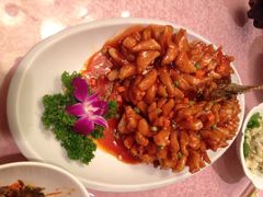旭龙鱼头王-旭龙鱼头王(航华店)