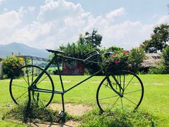 -黄色小屋
