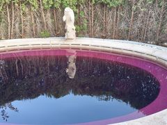 -大连金石滩绿发温泉假日酒店