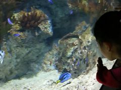 -福州罗源湾海洋世界旅游区