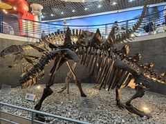 -国家自然博物馆