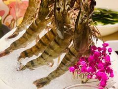 鲜活草虾-豆捞坊(金桥店)