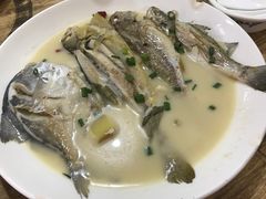 时鲜杂鱼-杨记海鲜楼