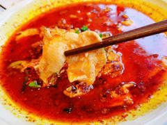 水煮肉片-煜丰汴京烤鸭(福彩路店)
