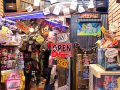 -秋叶原电器街