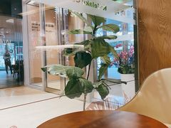 -猫屎咖啡(日月光中心广场店)