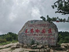 -王莽岭风景区