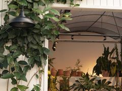 -自由生长植物工作室(深港花卉中心店)
