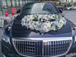 -蚂蚁婚车