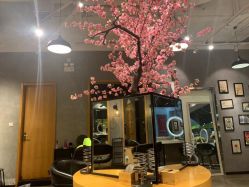点击看大图 -时尚殿堂明星门店