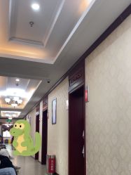 -南京医科大学友谊整形外科医院