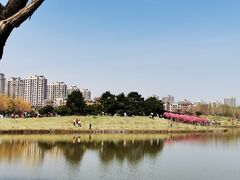 -塘沽森林公园