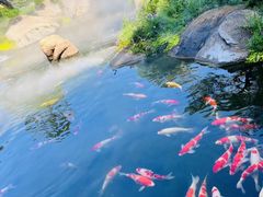 -罗红摄影艺术馆