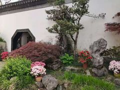 -上海醉白池公园