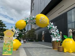 -东莞松山湖万象汇