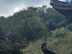 -灵顺寺
