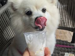 -星巴克(珠海仁恒滨海中心店)