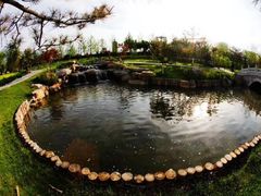 -西海子公园