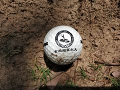 -金鸡湖高尔夫会员专属俱乐部