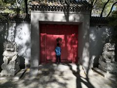-玲珑塔公园