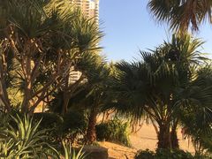 -碧桂园十里银滩