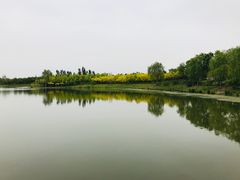 -东郊湿地公园