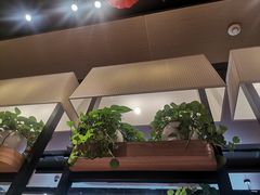 -肯德基(楚雄店)