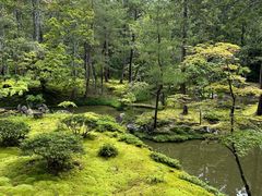 -西芳寺(苔寺)