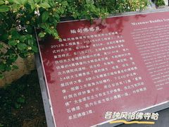 -洛阳白马寺