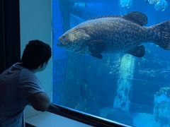 -太平洋海底世界