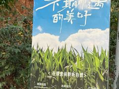 -南国桃园旅游度假区