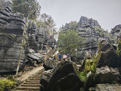 -梭布垭石林景区