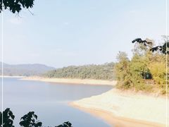 -广州市流溪河国家森林公园
