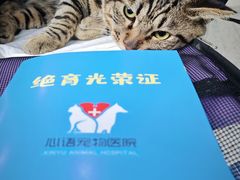 -心语宠物医院·急重症转诊中心·瑞辰华诺(南青路店)