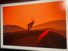 -罗红摄影艺术馆