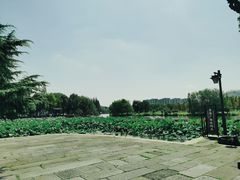 -鲁镇