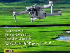 -童程童美·信息学竞赛·机器人编程·少儿编程(太阳宫校区)