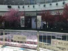 -鹏欣水游城